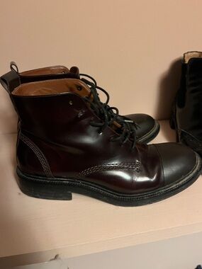 Joseph Women's Lace-Up Ankle Boots in Dark Brown